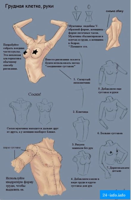 Учимся рисовать пикантные подробности женского тела (9 рисунков)