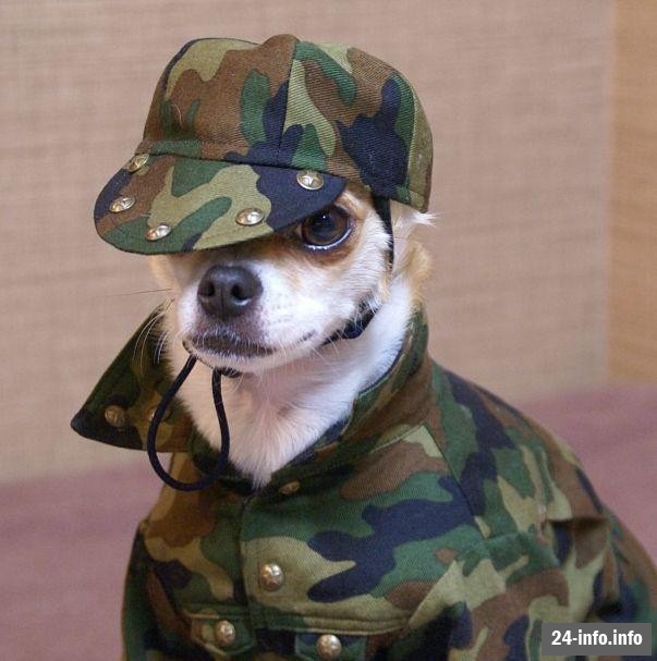 Он одевается лучше тебя =)