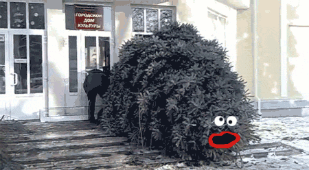 GIFки