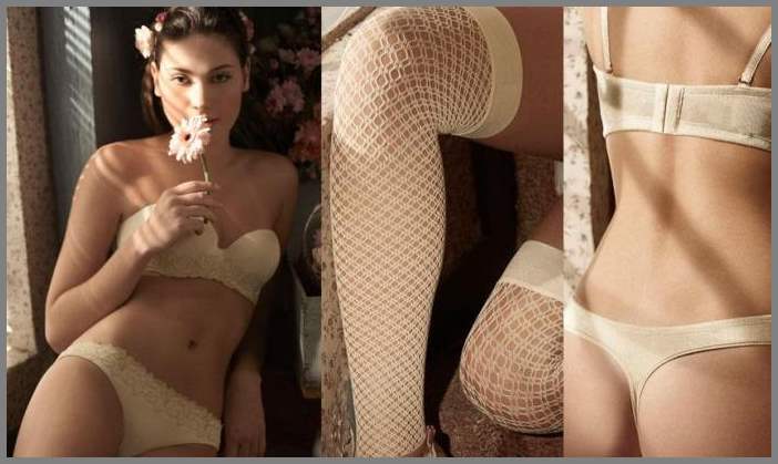 Ellipse lingerie