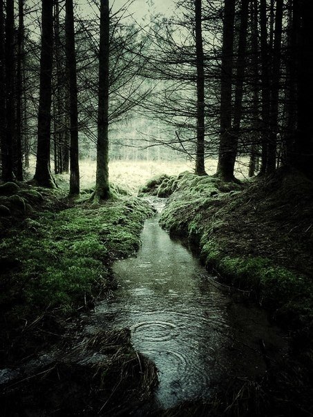 Julian Calverley - Glen Orchy & Glen Etive