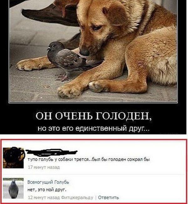 Смешные комменты из социальных сетей. Часть 22