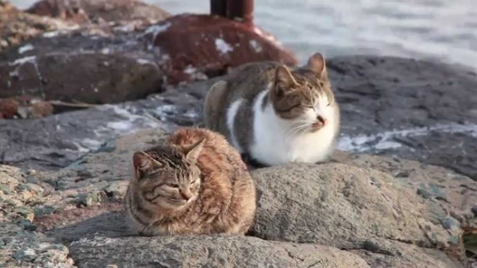 Пляжный сезон не за горами