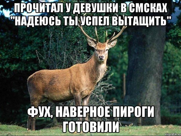 24-info.info  с новой порцией эротических приколов!