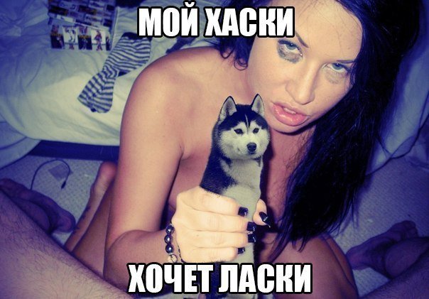 24-info.info  с новой порцией эротических приколов!