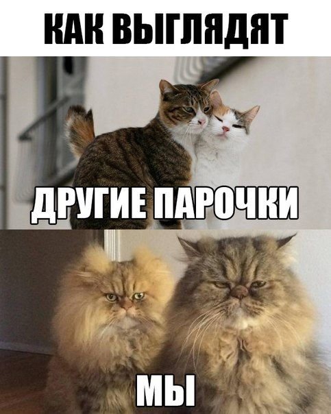 Картинки для поднятия настроения