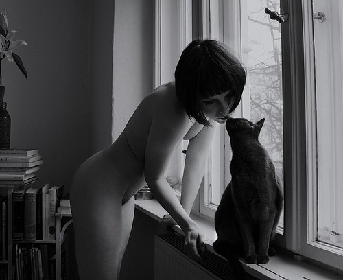 Коты и девушки