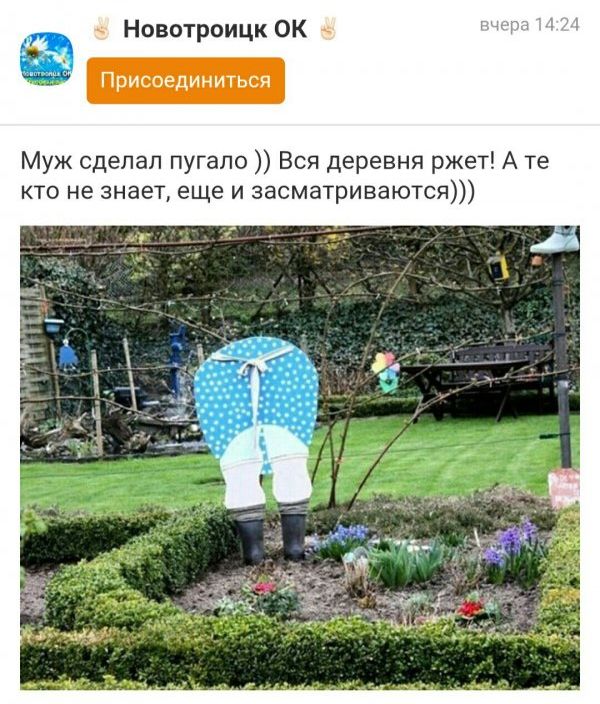 Удивительный мир «Одноклассников»