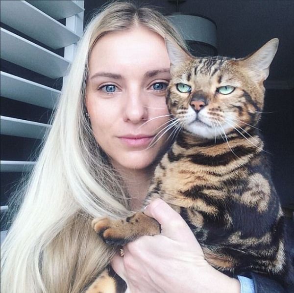 Кошки не в восторге от селфи