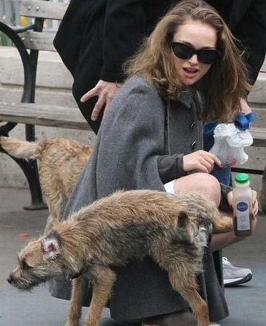 Звезды не получились на фото